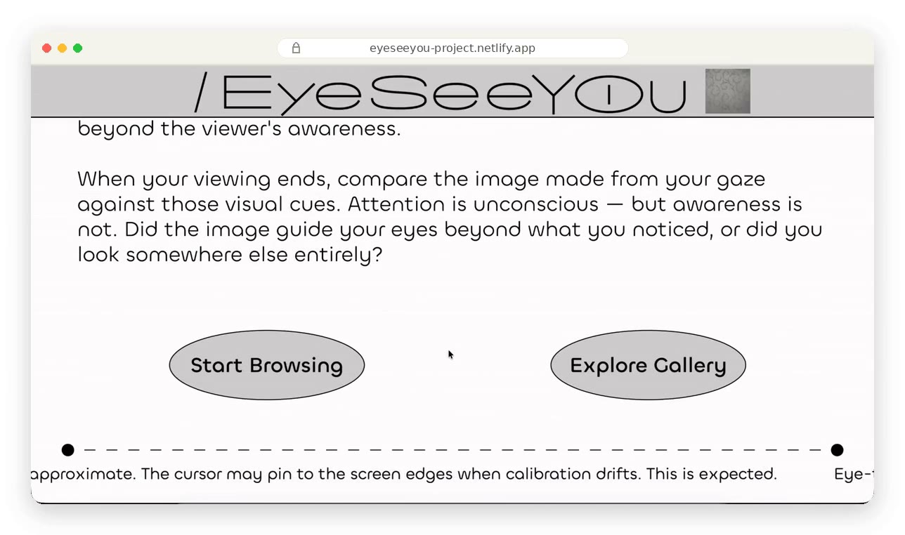 EyeSeeYou 项目介绍视频预览